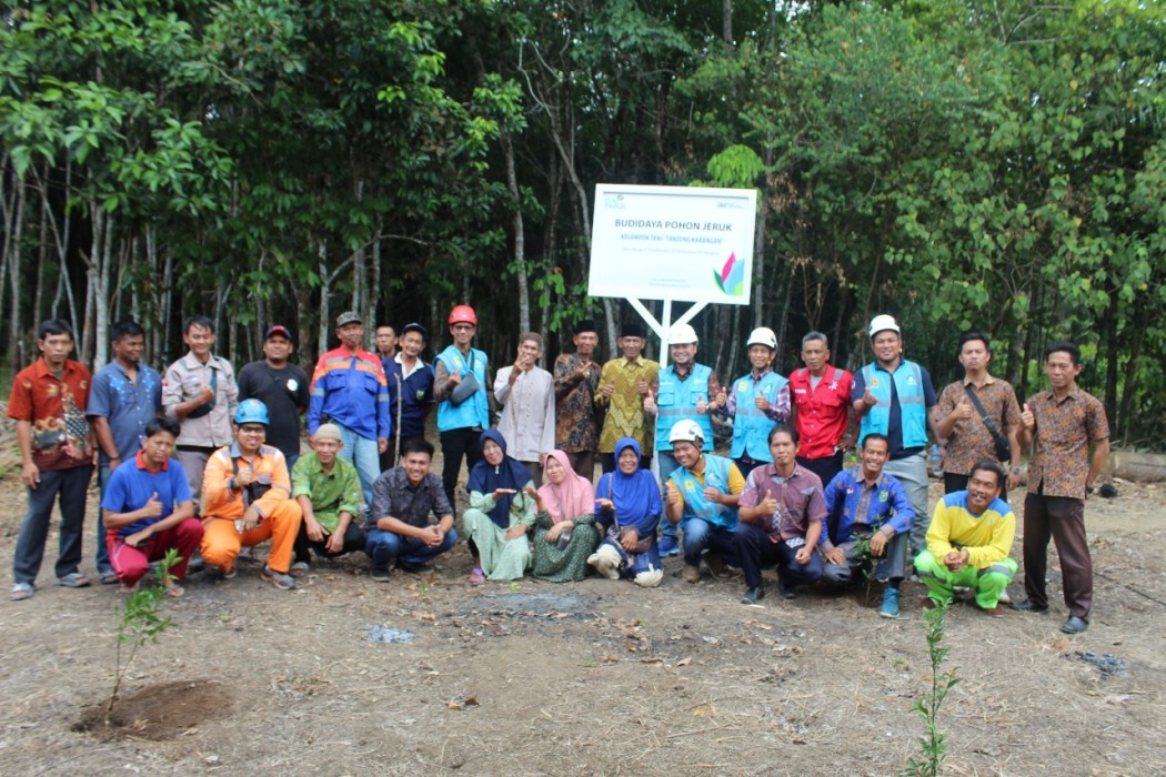 Pendampingan Budidaya tanaman jeruk kepada kelompok usaha tani Tanjung Karangan. PT PLN (Persero)